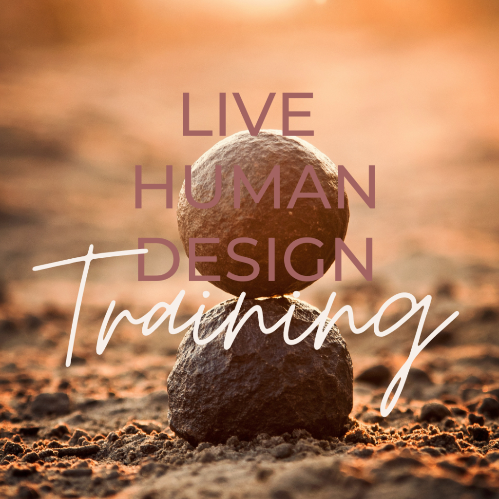 Live human design training