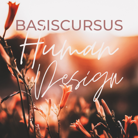 Basiscursus in Human Design